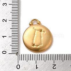 Ciondoli in acciaio inox 304&nbsp;STAS-L022-306MG-03