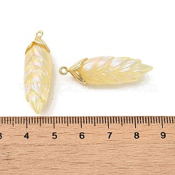 Pendenti in resina placcatura iridescente arcobaleno&nbsp;RESI-C047-03C-G