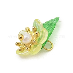 5pcs pendenti acrilici&nbsp;PALLOY-JF02962