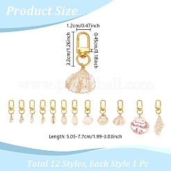 Décorations de pendentif de coquille de galvanoplastie&nbsp;HJEW-NB00203