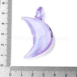 Manuelle Bunte Malerei Anhänger & Charms&nbsp;LAMP-R001-06E