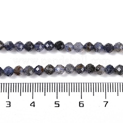 Naturperlen Stränge iolite&nbsp;X-G-G139-A11-03