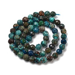 Natur Chrysokoll Perlen Stränge&nbsp;LS-G-G927-15C