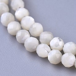 Shell collane di perline&nbsp;NJEW-K114-A-B01