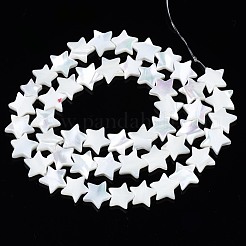 Fili di perle di conchiglia trochid naturale / trochus&nbsp;SSHEL-N034-96A-B01