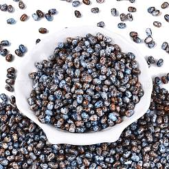 Picasso-Glasperlen&nbsp;SEED-N012-10N