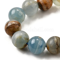 Natürliche blaue Calcit Perlen Stränge&nbsp;G-H312-C02-10mm