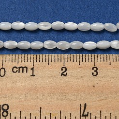 Natürliche Trochusmuschelperlenstränge&nbsp;SSHEL-H072-02A