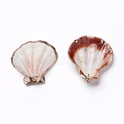 Shell Anhänger&nbsp;SHEL-P075-01