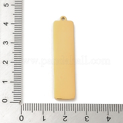 Pendentifs en acier inoxydable 304 avec placage ionique (IP)&nbsp;STAS-K270-08A-G
