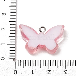 Transparente Harzanhänger&nbsp;LS-RE-CBA5B90-03E