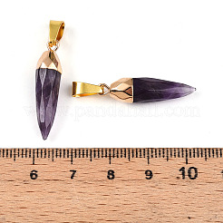 Pendenti d'ametista naturale&nbsp;G-N345-01F