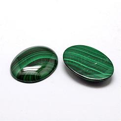 Oval natürliche Malachit cabochons&nbsp;G-O147-03J