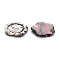Labbro nero naturale cabochon conchiglia&nbsp;SSHEL-T014-24