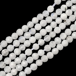 Brins de perles de pierre de lune arc-en-ciel naturel&nbsp;G-B168-A11-2mm