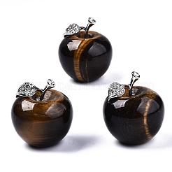 Tigre natural de display ojo decoraciones&nbsp;G-T113-20A