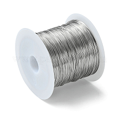 Anlaufgeschützter 316 Edelstahldraht&nbsp;TWIR-L004-01C-P