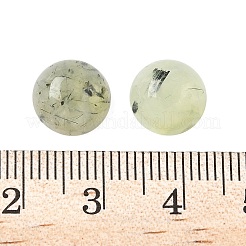 Natürliche Prehnit-Cabochons&nbsp;G-S398-01A-04