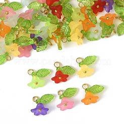 Colgantes de acrílico transparente 50pcs&nbsp;PALLOY-FS00043-06