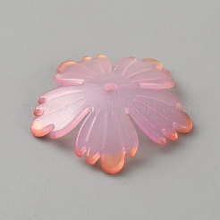 Acrylique coupelles&nbsp;MACR-TAC0008-04A