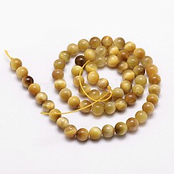 Chapelets de perles en œil de tigre naturelle&nbsp;LS-G-D840-54-8mm-03