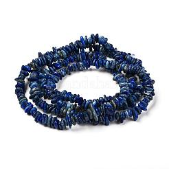 Natürliche Lapislazuli Chip Bead Stränge&nbsp;X-G-M205-14