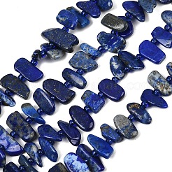 Natürlicher Lapislazuli Perlenstränge&nbsp;G-L657-E01-01