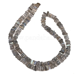 Natur Labradorit Perlen Stränge&nbsp;G-Z152-F04-02