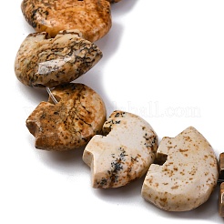 Natürliches Bild Jaspis Perlen Stränge&nbsp;G-F783-G03-01