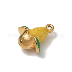 304 Edelstahl-Emaille-Anhänger&nbsp;SA-CBACF51-08G