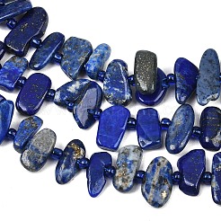 Natürlicher Lapislazuli Perlenstränge&nbsp;G-L657-E01-01