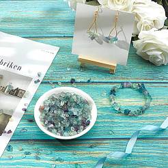 Perle di chip di fluorite naturale&nbsp;G-SC0001-27