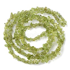Natürlichen Peridot Perlen Stränge&nbsp;G-G0003-B27