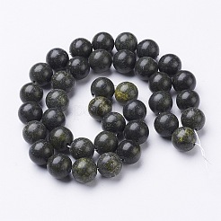 Fili di perline gemstone&nbsp;GSR10mmC146