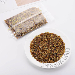 Perles de bugle en verre plaqué&nbsp;SEED-S046-01A-41