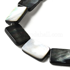 Natur schwarz Lippe Shell Perlen Stränge&nbsp;BSHE-D300-03-13x18mm