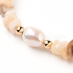 Chip Natural Shell Stretch Perlen Armbänder&nbsp;BJEW-JB05727-01