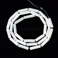 Fili di perle di conchiglia trochid naturale / trochus&nbsp;X-SSHEL-S266-020A-03