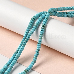 Fili di perline howlite naturale&nbsp;G-C025-09C