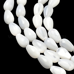 Natürlichen weißen Muschelperlen Stränge&nbsp;SH-CBAF49A-03
