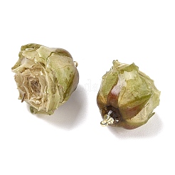 Pendenti in ottone resina epossidica&nbsp;FIND-D043-01G-10