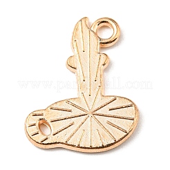Pendentifs d'émail en alliage&nbsp;ENAM-G218-A01