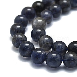Naturperlen Stränge iolite&nbsp;G-E576-05A