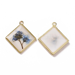 Pendentifs en résine époxy transparente transparente, avec boucles en alliage plaqué or bord, breloques losanges avec fleur intérieure, bleuet, 30x26.5x3mm, Trou: 1.8mm