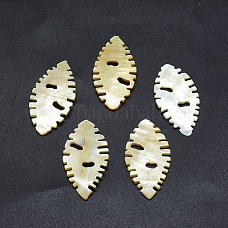 Shell Cabochons, Oval, 44~46x22~23.5x1.5~2.5mm