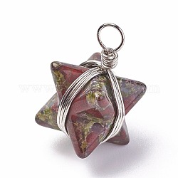 Dragons naturel pendentifs en pierre de sang, avec les accessoires en laiton, Merkaba Star, platine, 24~27x17x17mm, Trou: 3.5~4mm