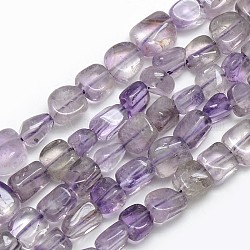 Natural Amethyst Nuggets Beads Strands, 8~10x3~5mm, Hole: 1mm, about 53pcs/strand, 15.5 inch
