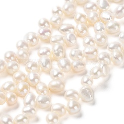 Fili di perle di perle d'acqua dolce coltivate naturali, grado 6a+, riso, peachpuff, 6~8x5~6x5mm, Foro: 0.5 mm, circa 78~80pcs/filo, 14.06~14.37 pollice (35.7~36.5 cm)