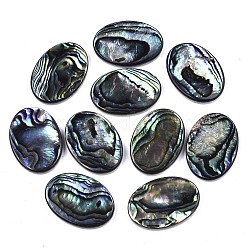 Natürliche Abalone Muschel / Paua Muschel Cabochons, Mit Süßwasserschale, Oval, Farbig, 25x18x3 mm