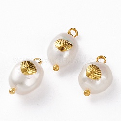Ciondoli di perle naturali di keshi, con cabochon in lega e passanti in ottone, ovale con conchiglia, oro, 13~16x8~9x5~8mm, Foro: 2 mm